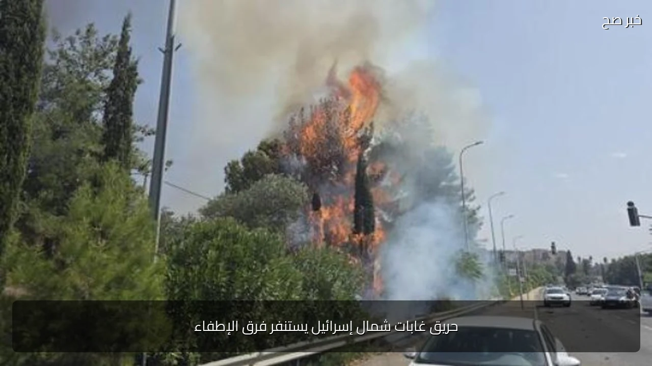 حريق غابات شمال إسرائيل يستنفر فرق الإطفاء