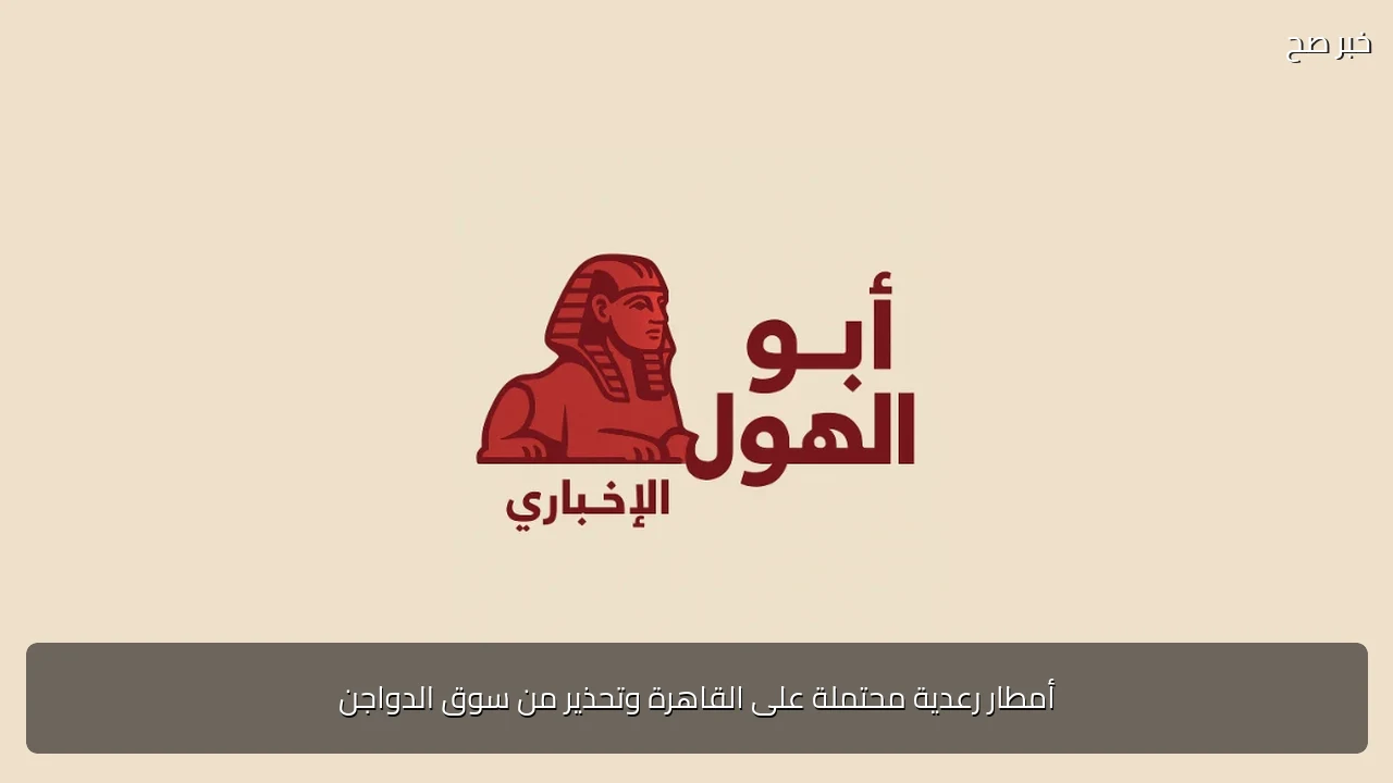 أمطار رعدية محتملة على القاهرة وتحذير من سوق الدواجن