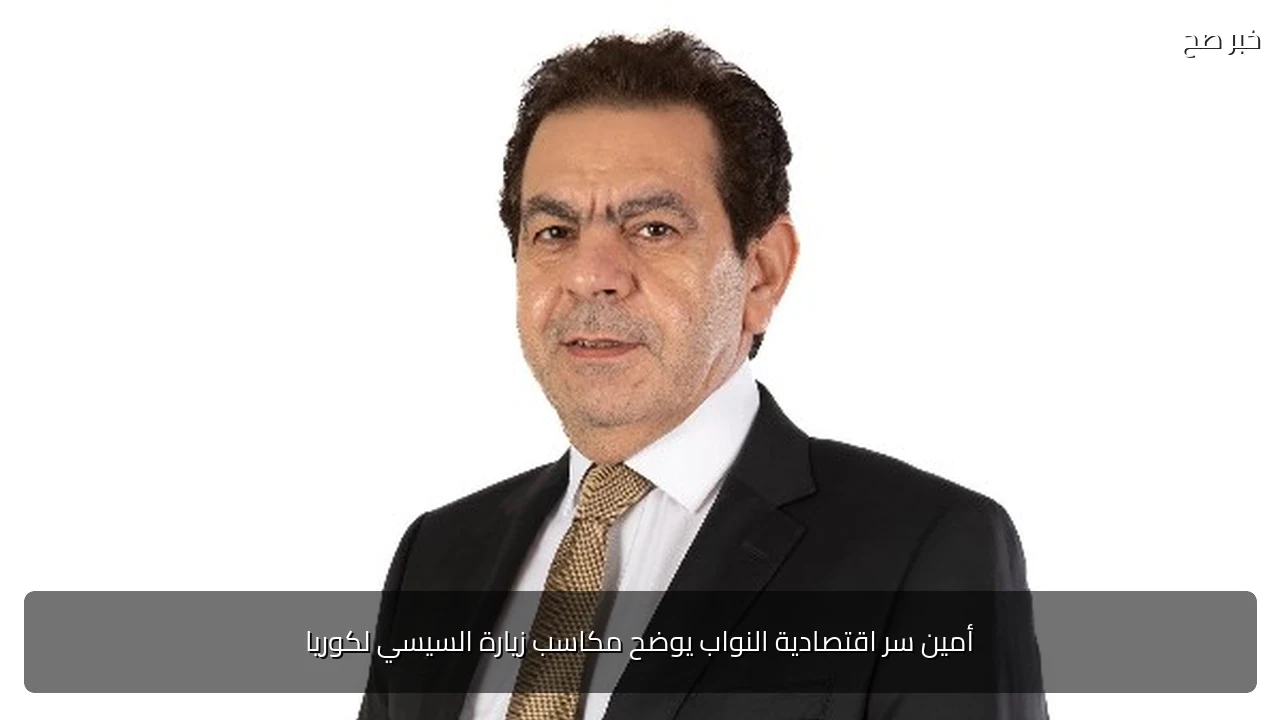 أمين سر اقتصادية النواب يوضح مكاسب زيارة السيسي لكوريا