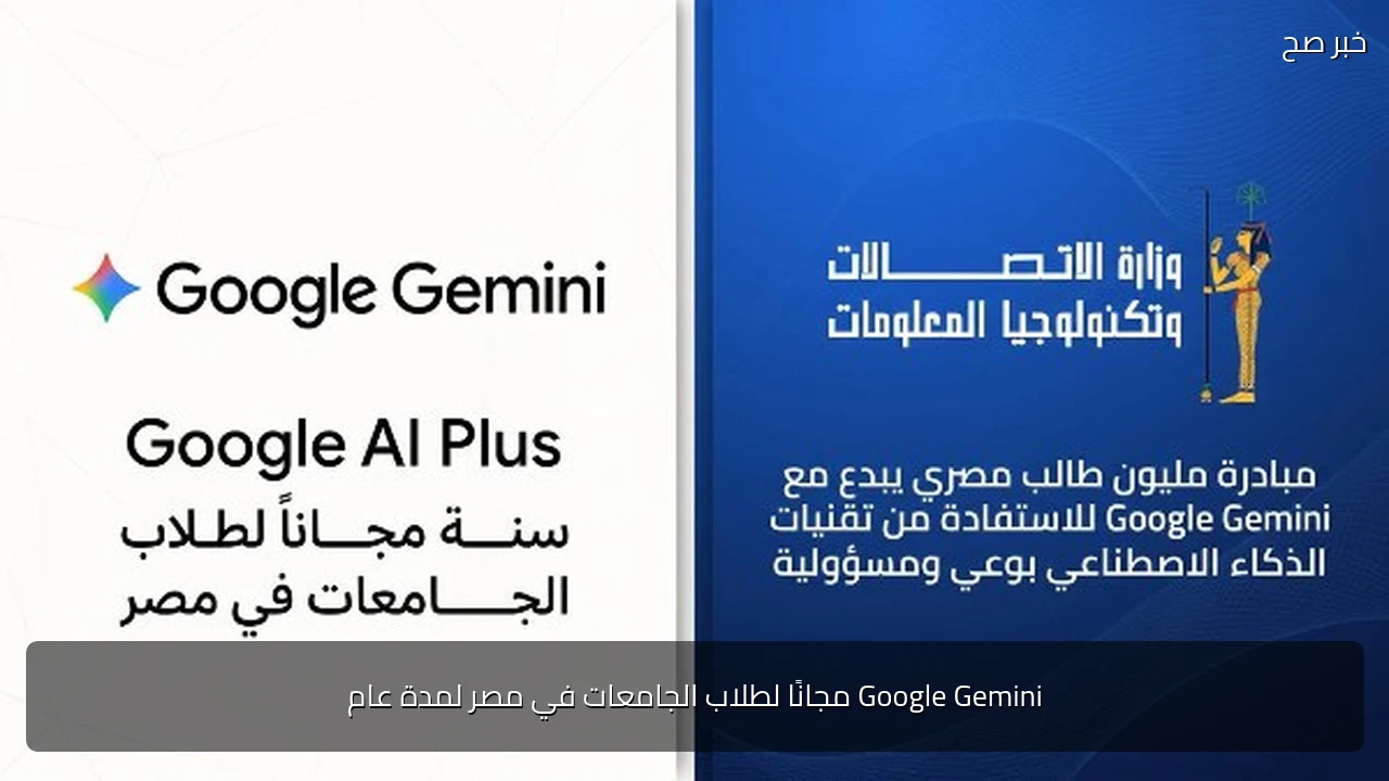 Google Gemini مجانًا لطلاب الجامعات في مصر لمدة عام