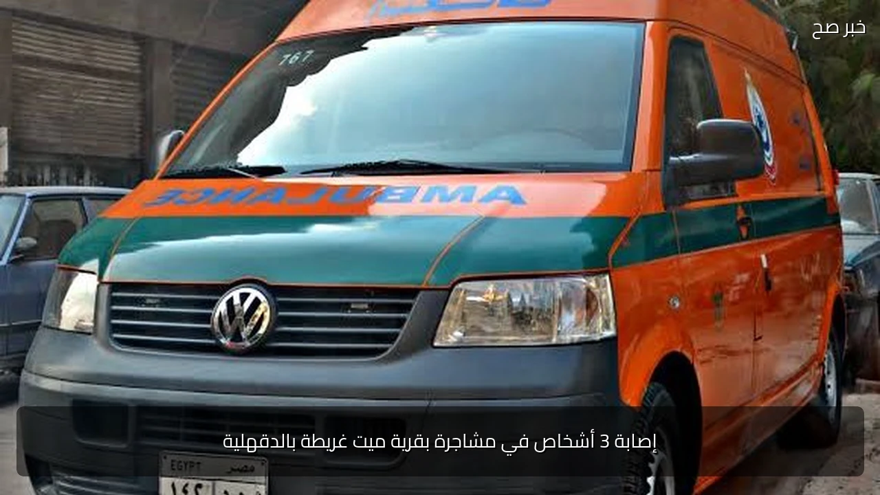 إصابة 3 أشخاص في مشاجرة بقرية ميت غريطة بالدقهلية