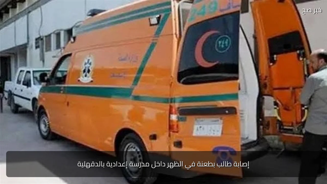 إصابة طالب بطعنة في الظهر داخل مدرسة إعدادية بالدقهلية