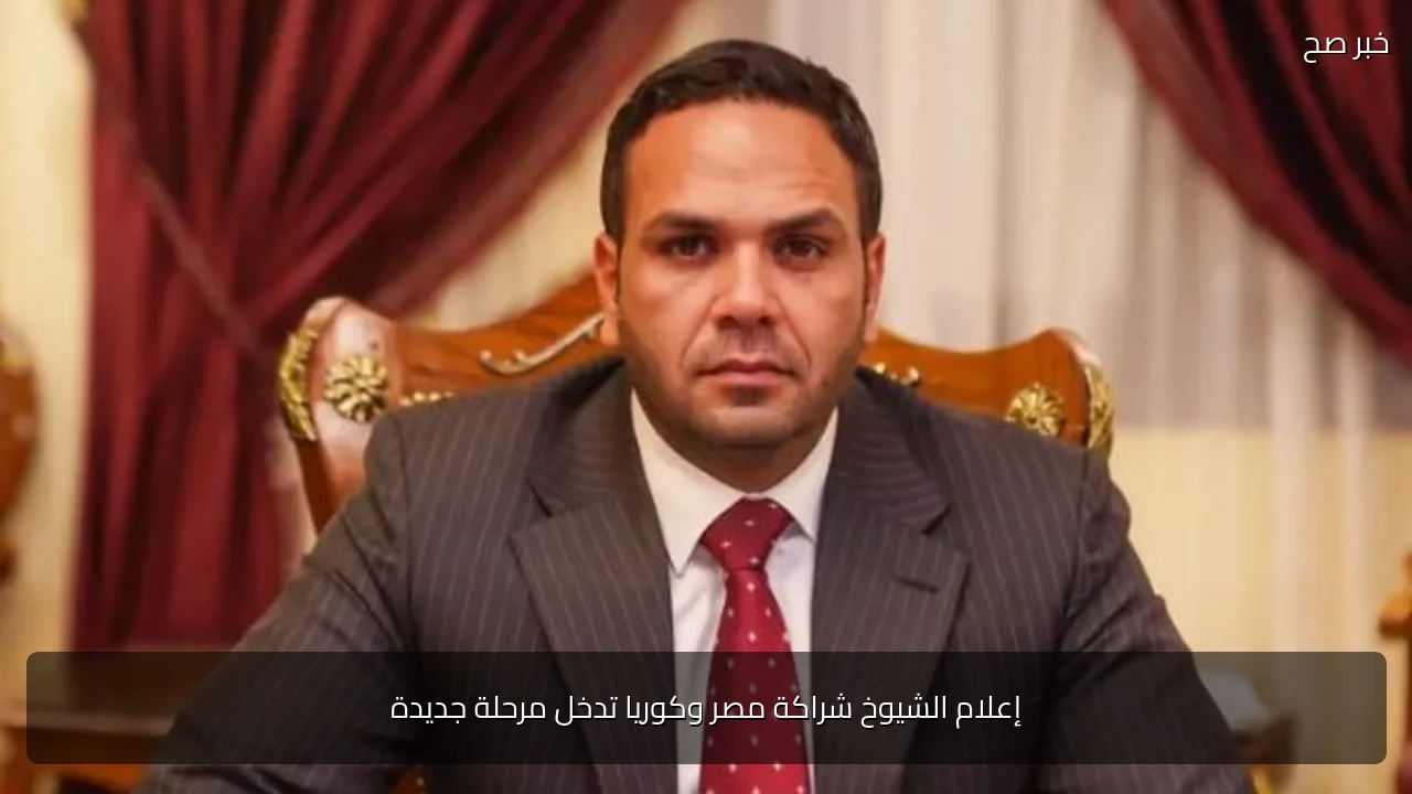 إعلام الشيوخ شراكة مصر وكوريا تدخل مرحلة جديدة