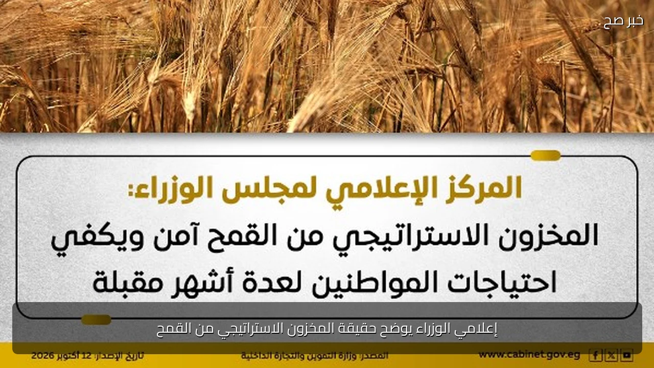 إعلامي الوزراء يوضح حقيقة المخزون الاستراتيجي من القمح