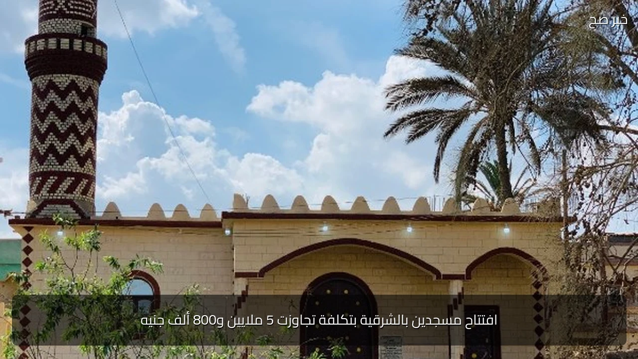 افتتاح مسجدين بالشرقية بتكلفة تجاوزت 5 ملايين و800 ألف جنيه