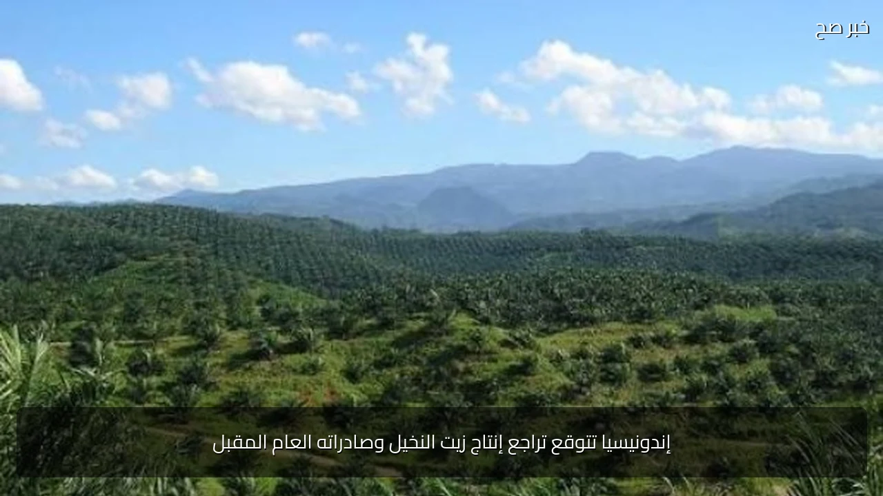 إندونيسيا تتوقع تراجع إنتاج زيت النخيل وصادراته العام المقبل