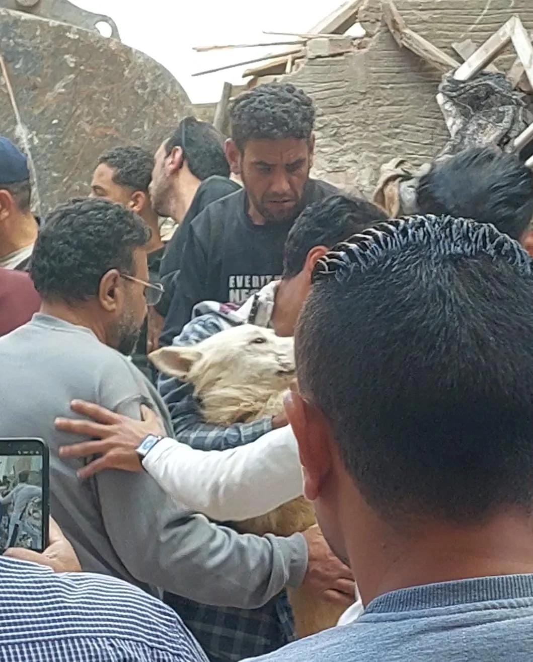 انقاذ كلب حي اسفل العقار المنهار في الاسكندرية انقاذ كلب حي اسفل العقار المنهار في الاسكندرية