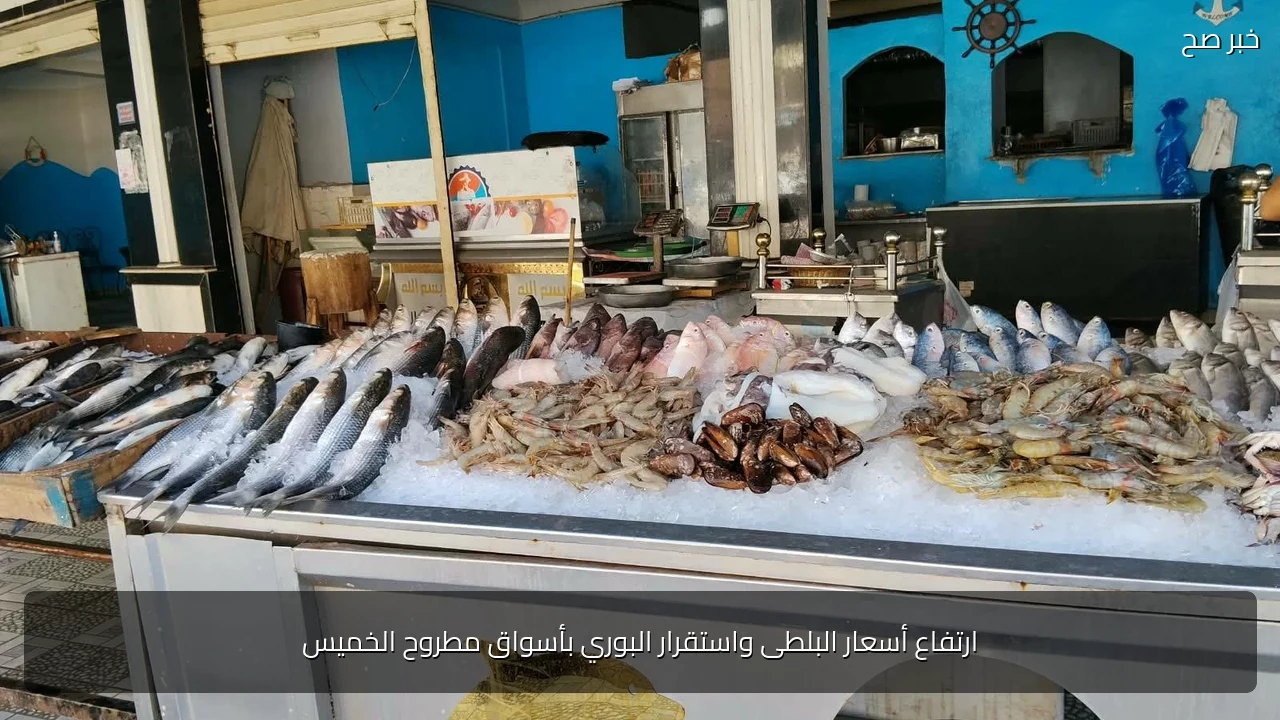 ارتفاع أسعار البلطى واستقرار البوري بأسواق مطروح الخميس