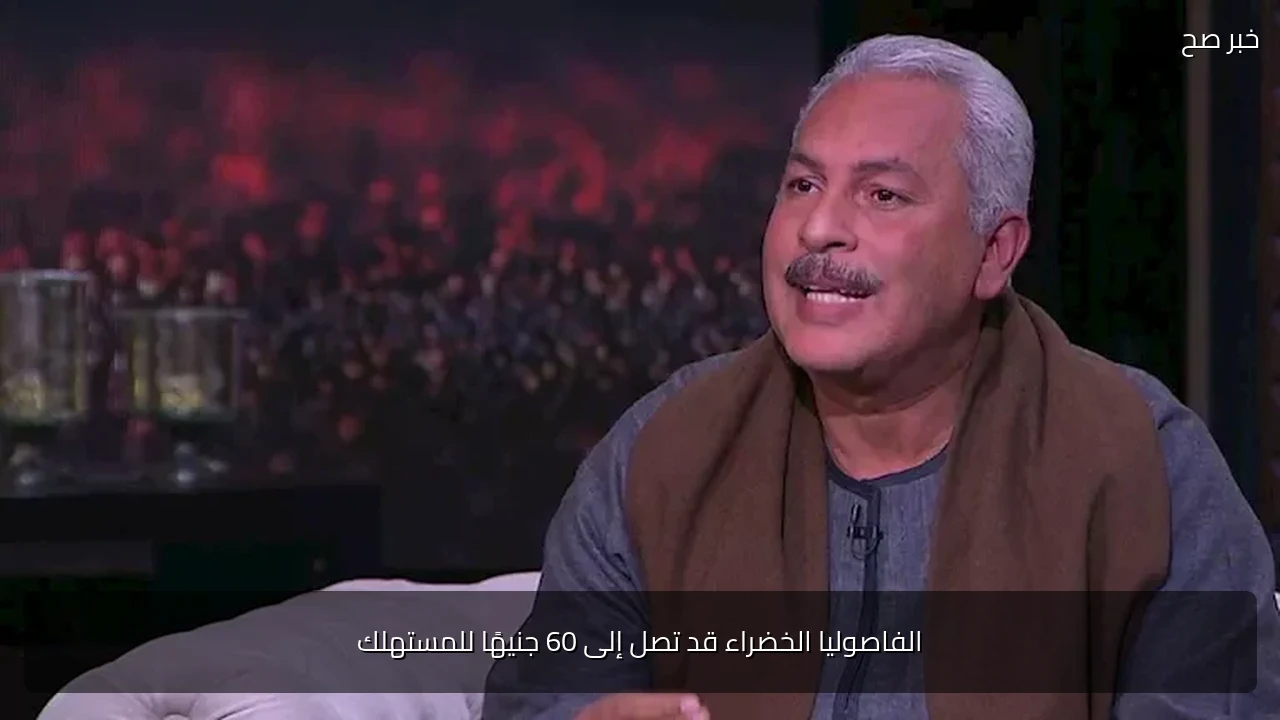 الفاصوليا الخضراء قد تصل إلى 60 جنيهًا للمستهلك