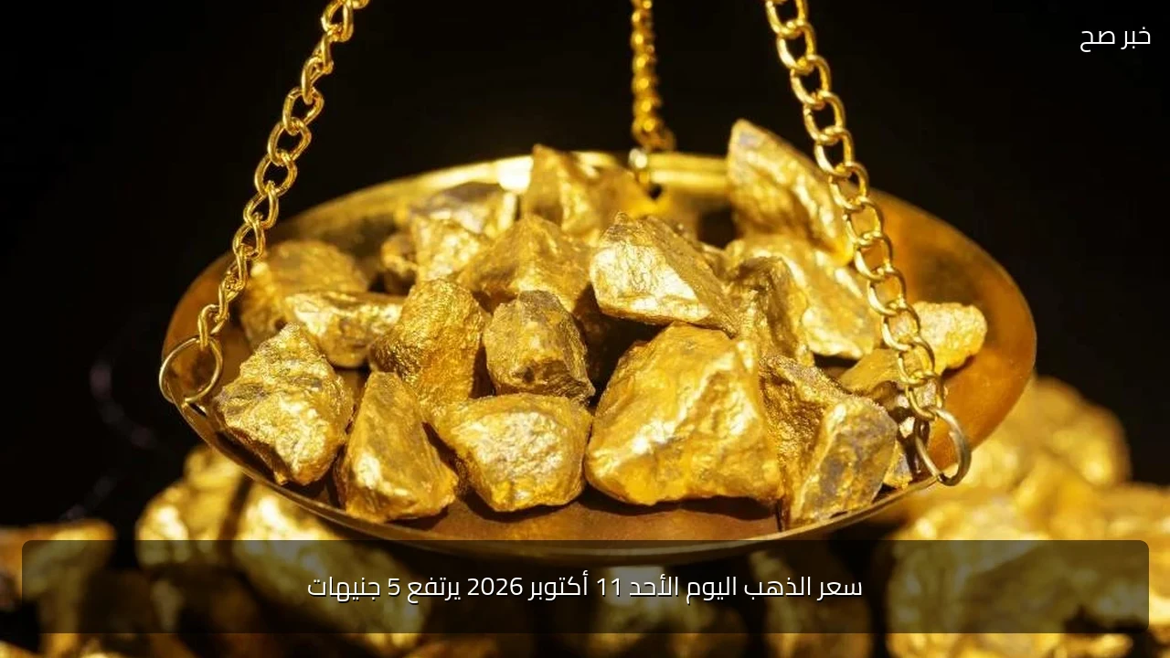 سعر الذهب اليوم الأحد 11 أكتوبر 2026 يرتفع 5 جنيهات