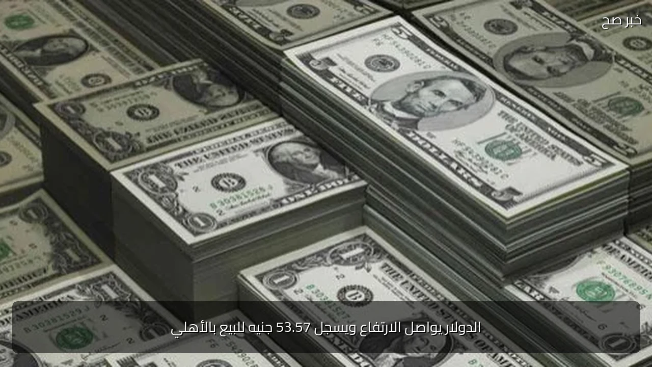 الدولار يواصل الارتفاع ويسجل 53.57 جنيه للبيع بالأهلي