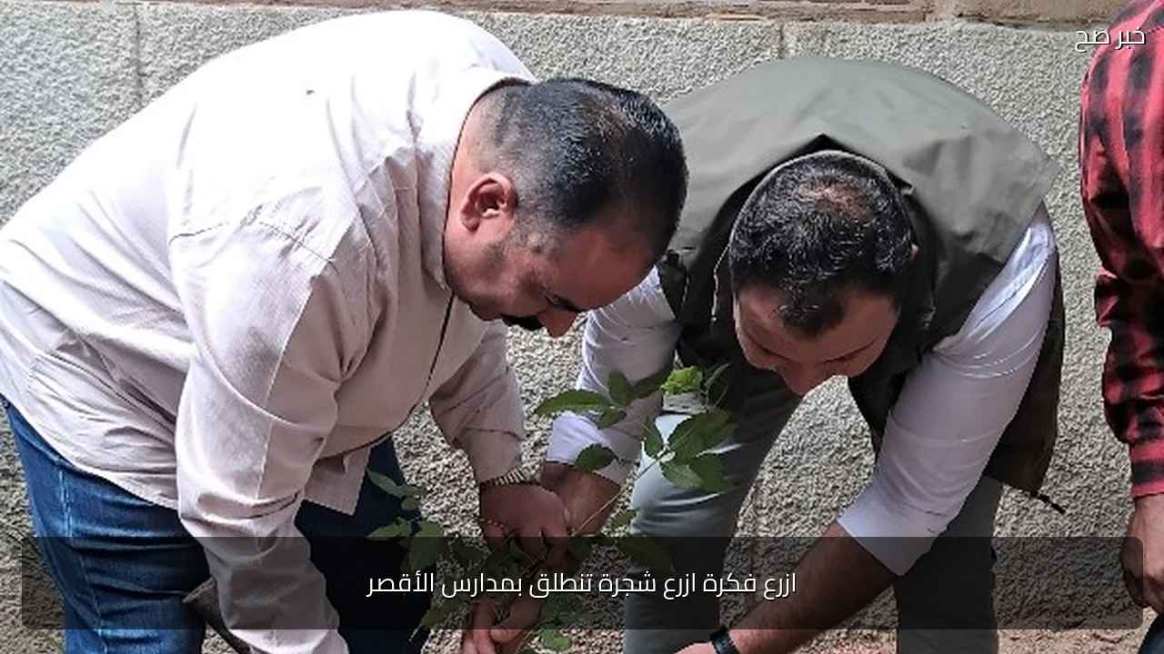 ازرع فكرة ازرع شجرة تنطلق بمدارس الأقصر