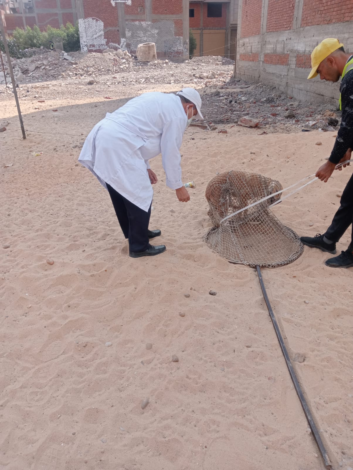 محافظ الدقهلية يتابع حملات مواجهة الكلاب الضالة بحي غرب محافظ الدقهلية يتابع حملات مواجهة الكلاب الضالة بحي غرب