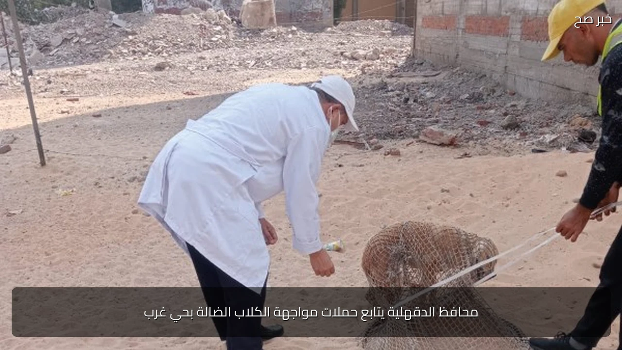 محافظ الدقهلية يتابع حملات مواجهة الكلاب الضالة بحي غرب