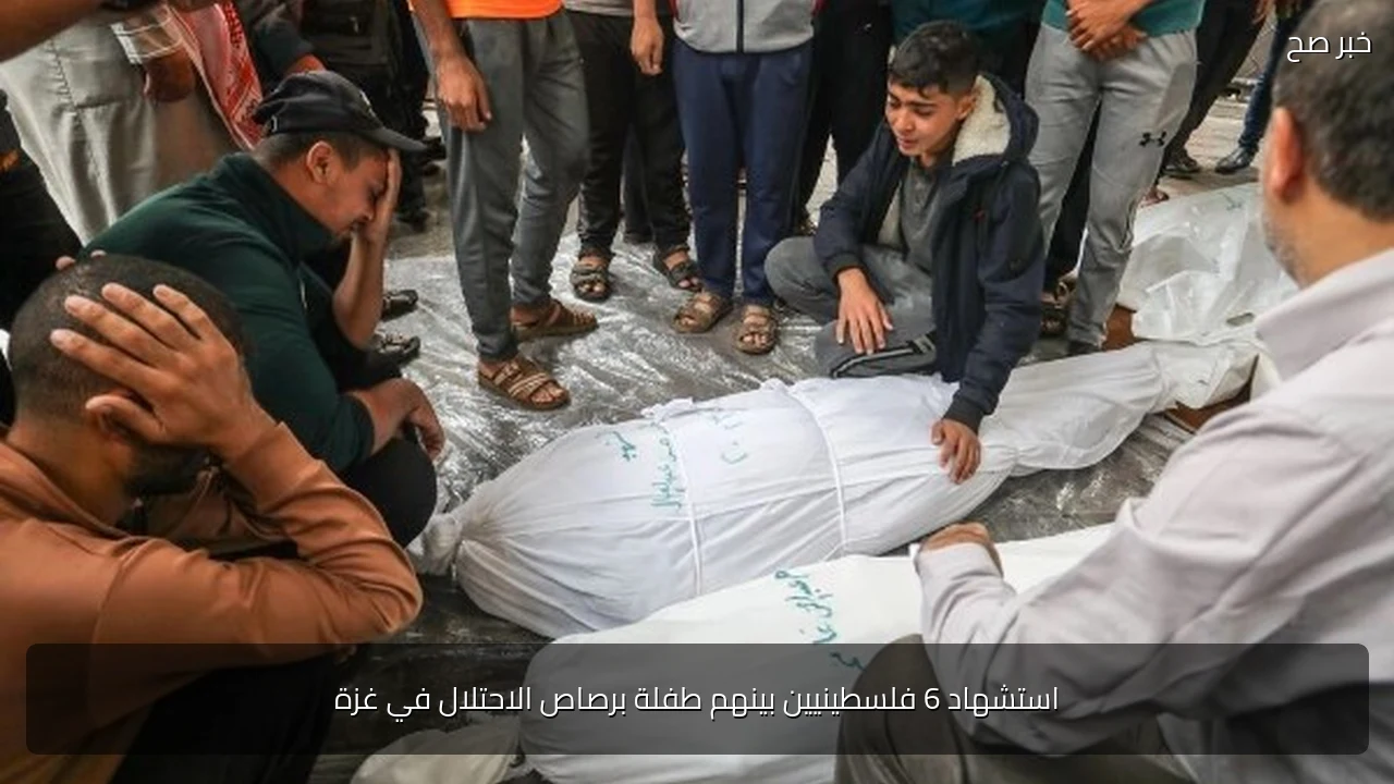 استشهاد 6 فلسطينيين بينهم طفلة برصاص الاحتلال في غزة