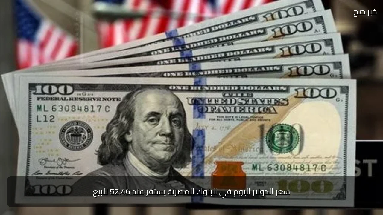 سعر الدولار اليوم في البنوك المصرية يستقر عند 52.46 للبيع