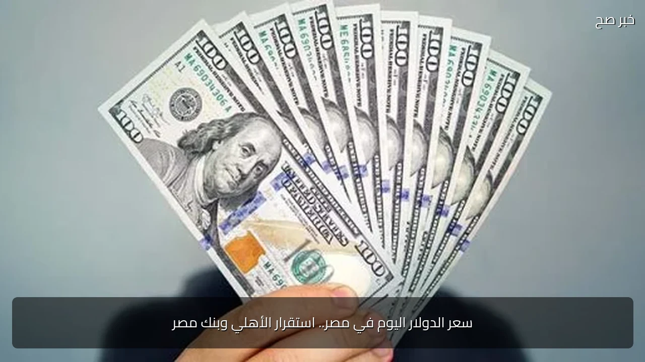سعر الدولار اليوم في مصر.. استقرار الأهلي وبنك مصر
