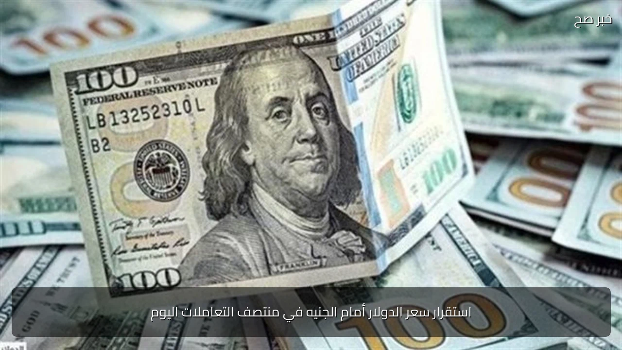 استقرار سعر الدولار أمام الجنيه في منتصف التعاملات اليوم