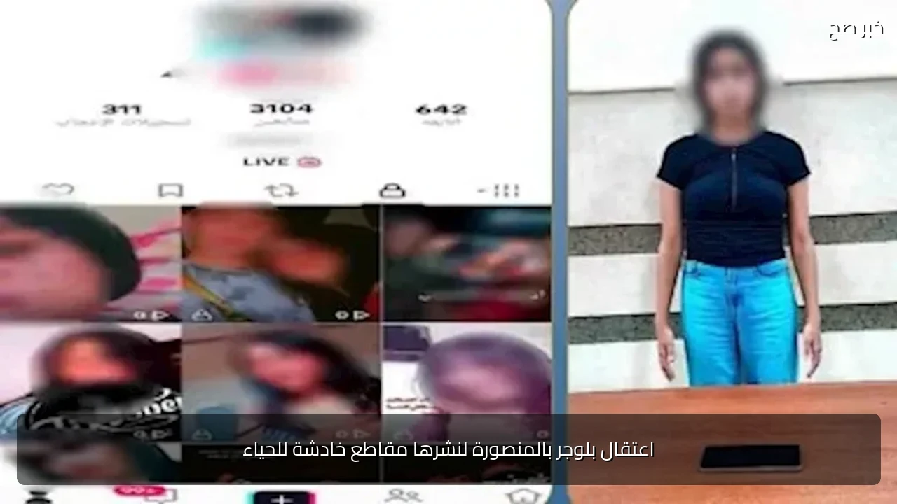 اعتقال بلوجر بالمنصورة لنشرها مقاطع خادشة للحياء