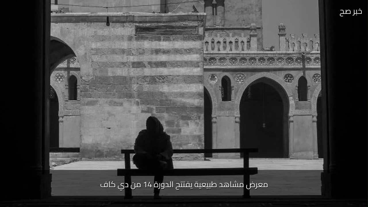 معرض مشاهد طبيعية يفتتح الدورة 14 من دي كاف