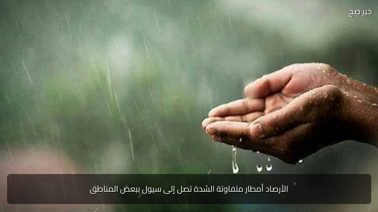 الأرصاد أمطار متفاوتة الشدة تصل إلى سيول ببعض المناطق