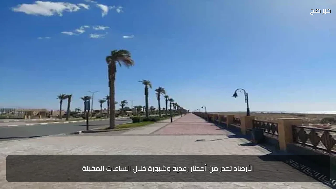 الأرصاد تحذر من أمطار رعدية وشبورة خلال الساعات المقبلة
