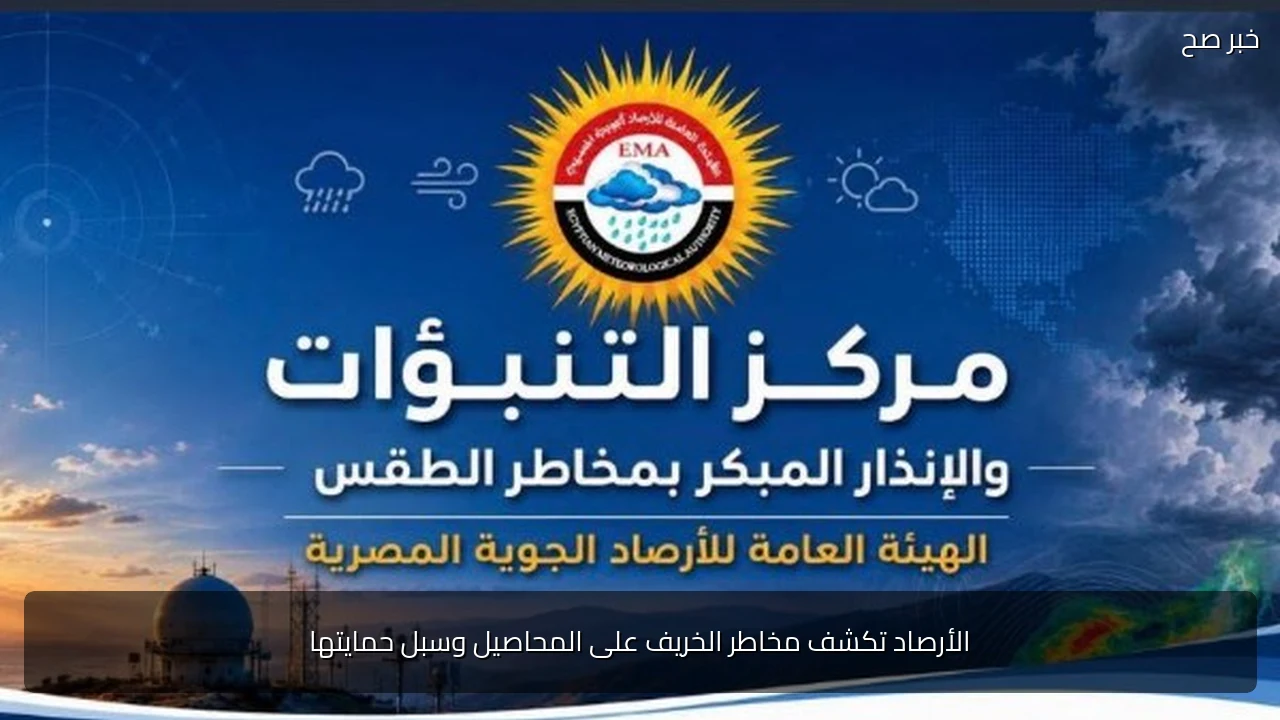 الأرصاد تكشف مخاطر الخريف على المحاصيل وسبل حمايتها