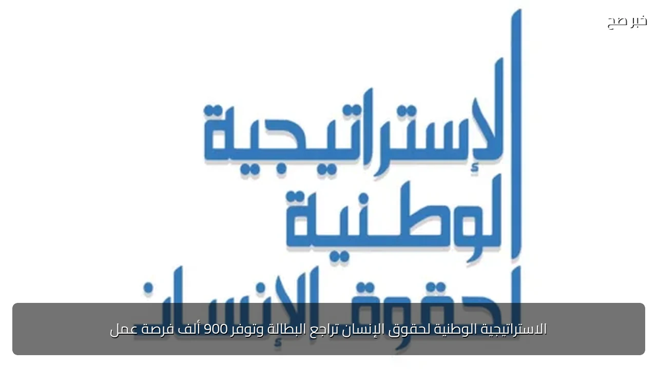 الاستراتيجية الوطنية لحقوق الإنسان تراجع البطالة وتوفر 900 ألف فرصة عمل