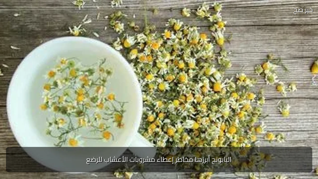 البابونج أبرزها مخاطر إعطاء مشروبات الأعشاب للرضع