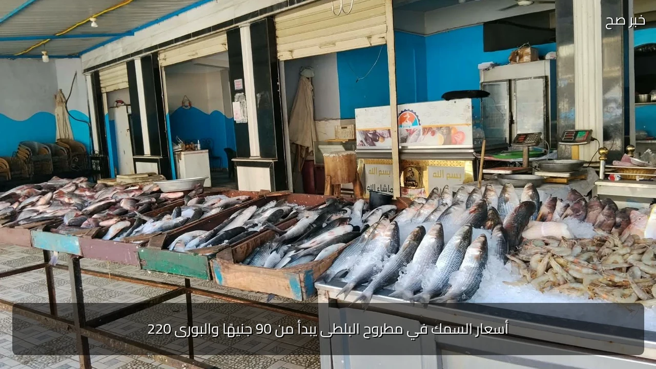 أسعار السمك في مطروح البلطى يبدأ من 90 جنيهًا والبورى 220