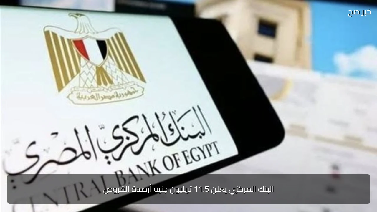البنك المركزي يعلن 11.5 تريليون جنيه أرصدة القروض