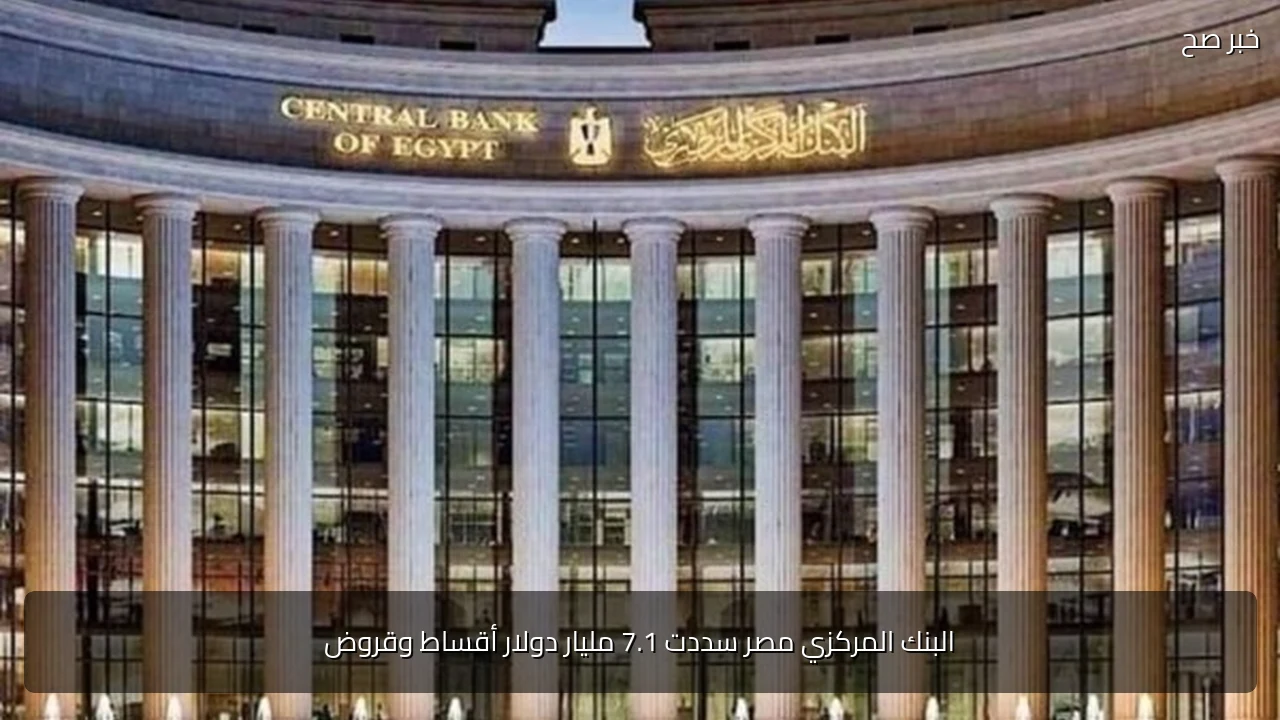 البنك المركزي مصر سددت 7.1 مليار دولار أقساط وقروض