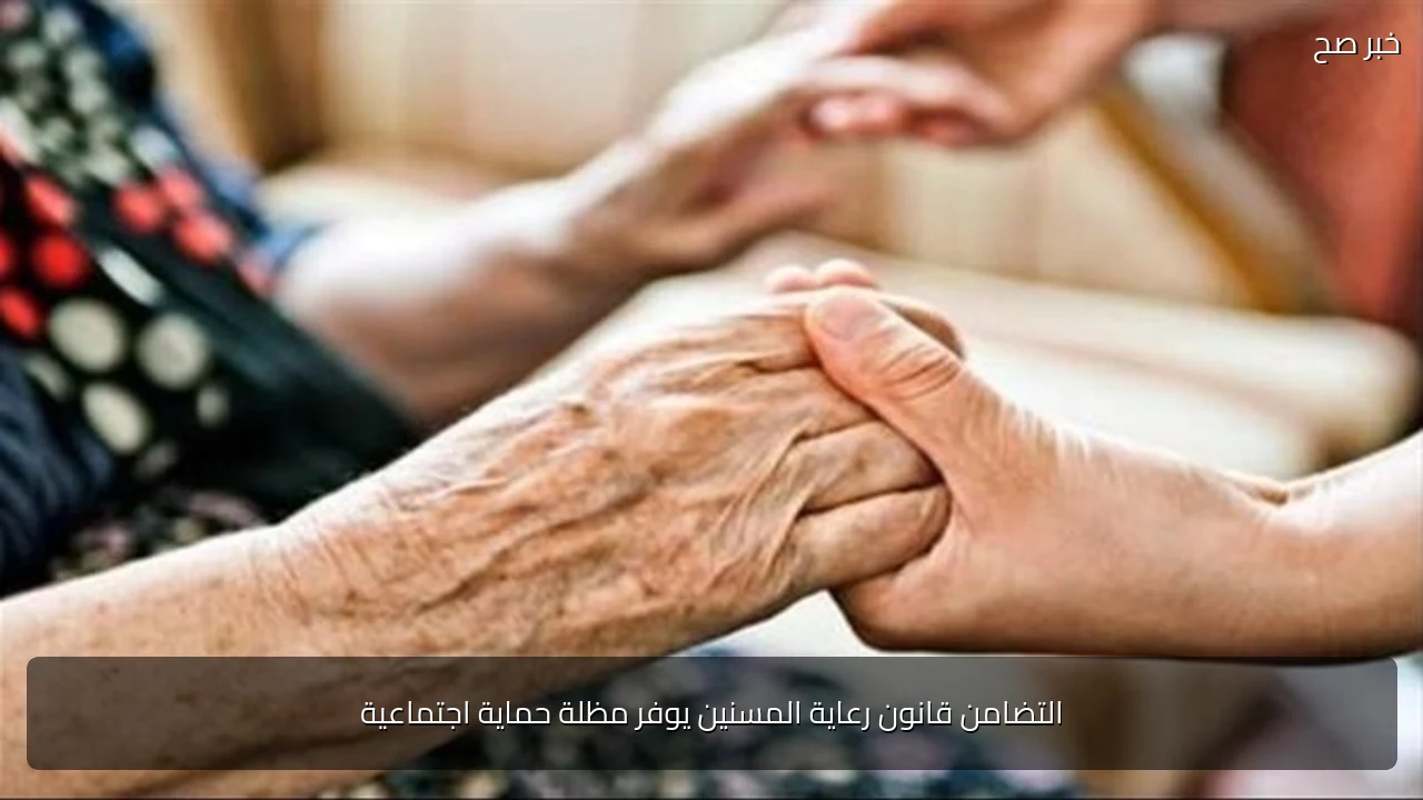 التضامن قانون رعاية المسنين يوفر مظلة حماية اجتماعية