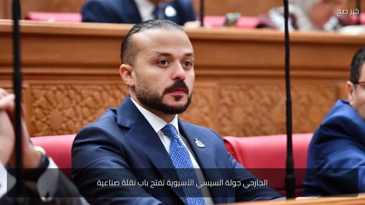 الجارحي جولة السيسي الآسيوية تفتح باب نقلة صناعية