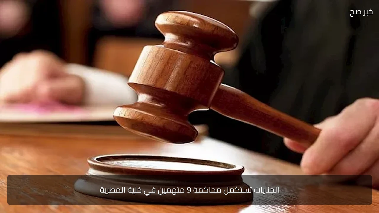 الجنايات تستكمل محاكمة 9 متهمين في خلية المطرية