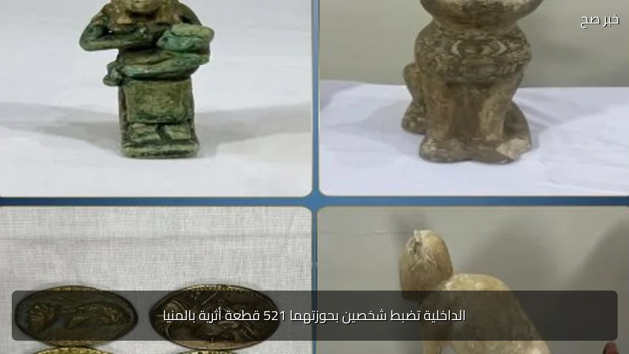 الداخلية تضبط شخصين بحوزتهما 521 قطعة أثرية بالمنيا