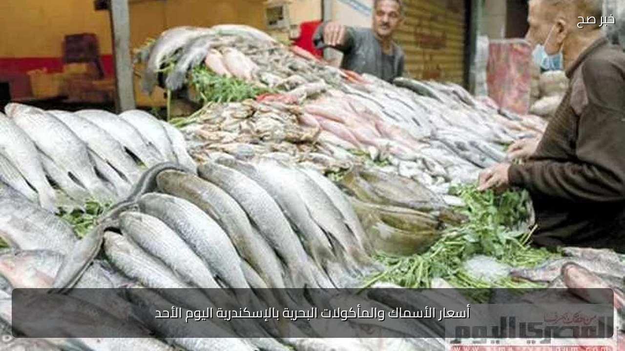 أسعار الأسماك والمأكولات البحرية بالإسكندرية اليوم الأحد