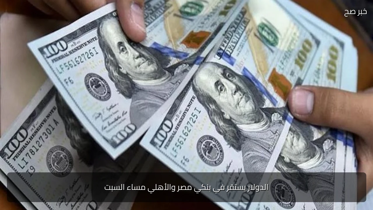 الدولار يستقر في بنكي مصر والأهلي مساء السبت