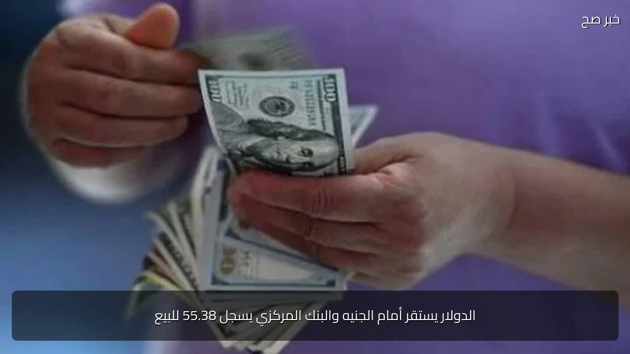 الدولار يستقر أمام الجنيه والبنك المركزي يسجل 55.38 للبيع