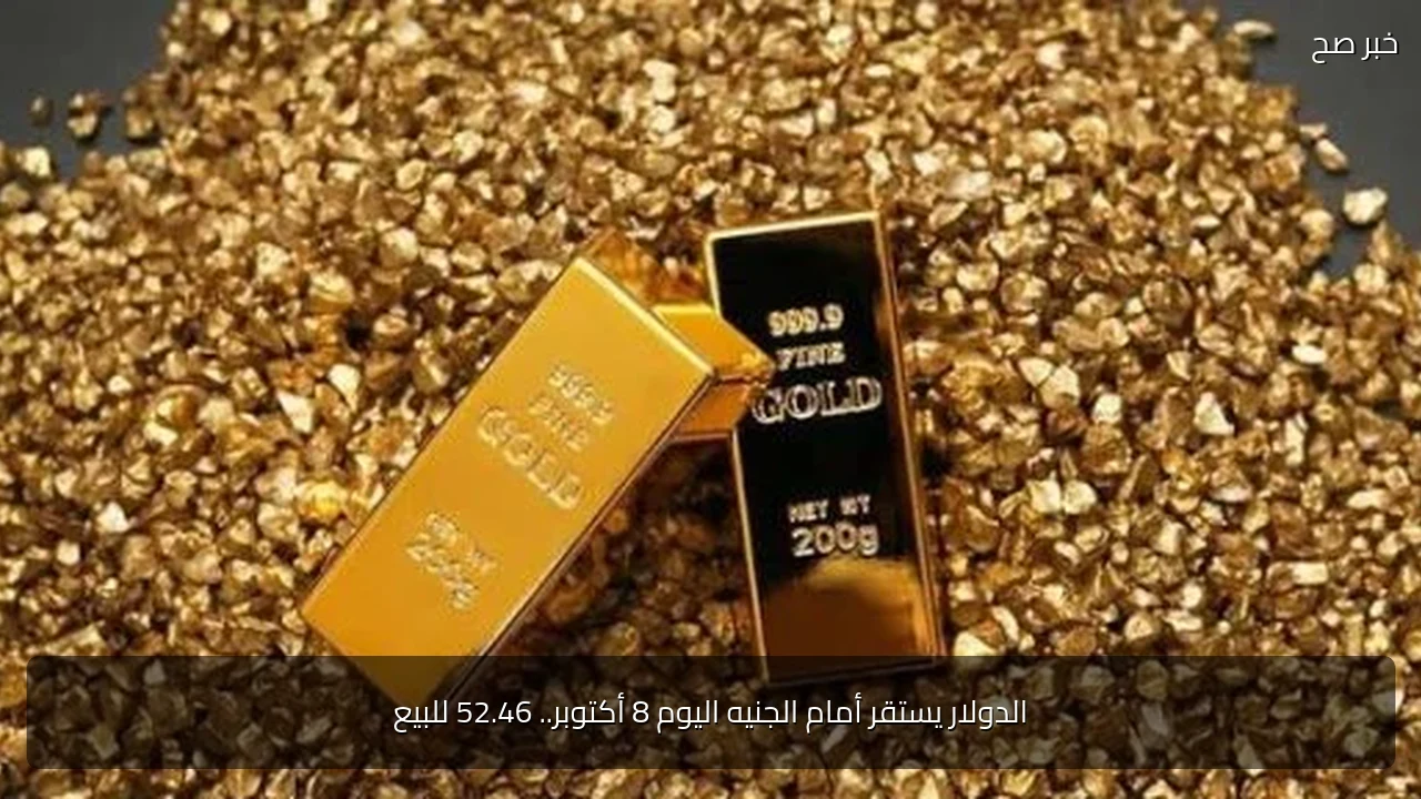 الدولار يستقر أمام الجنيه اليوم 8 أكتوبر.. 52.46 للبيع