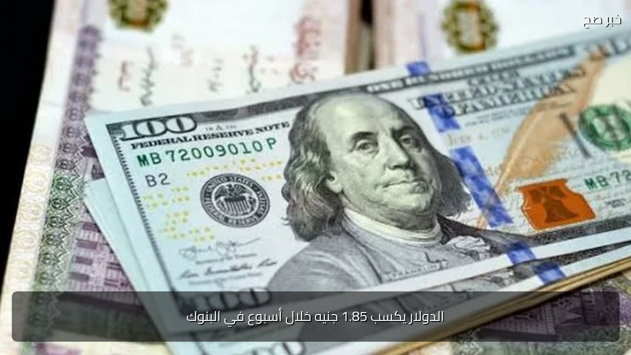 الدولار يكسب 1.85 جنيه خلال أسبوع في البنوك