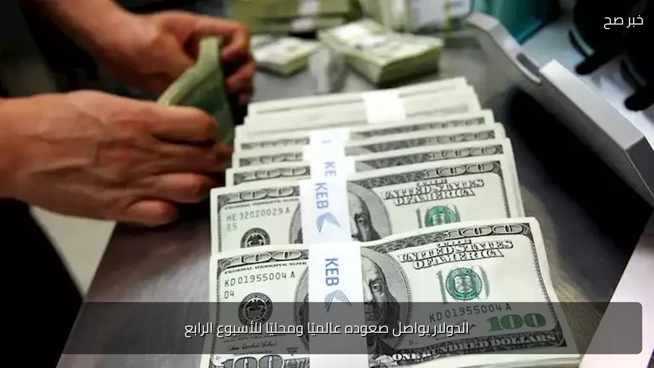 الدولار يواصل صعوده عالميًا ومحليًا للأسبوع الرابع