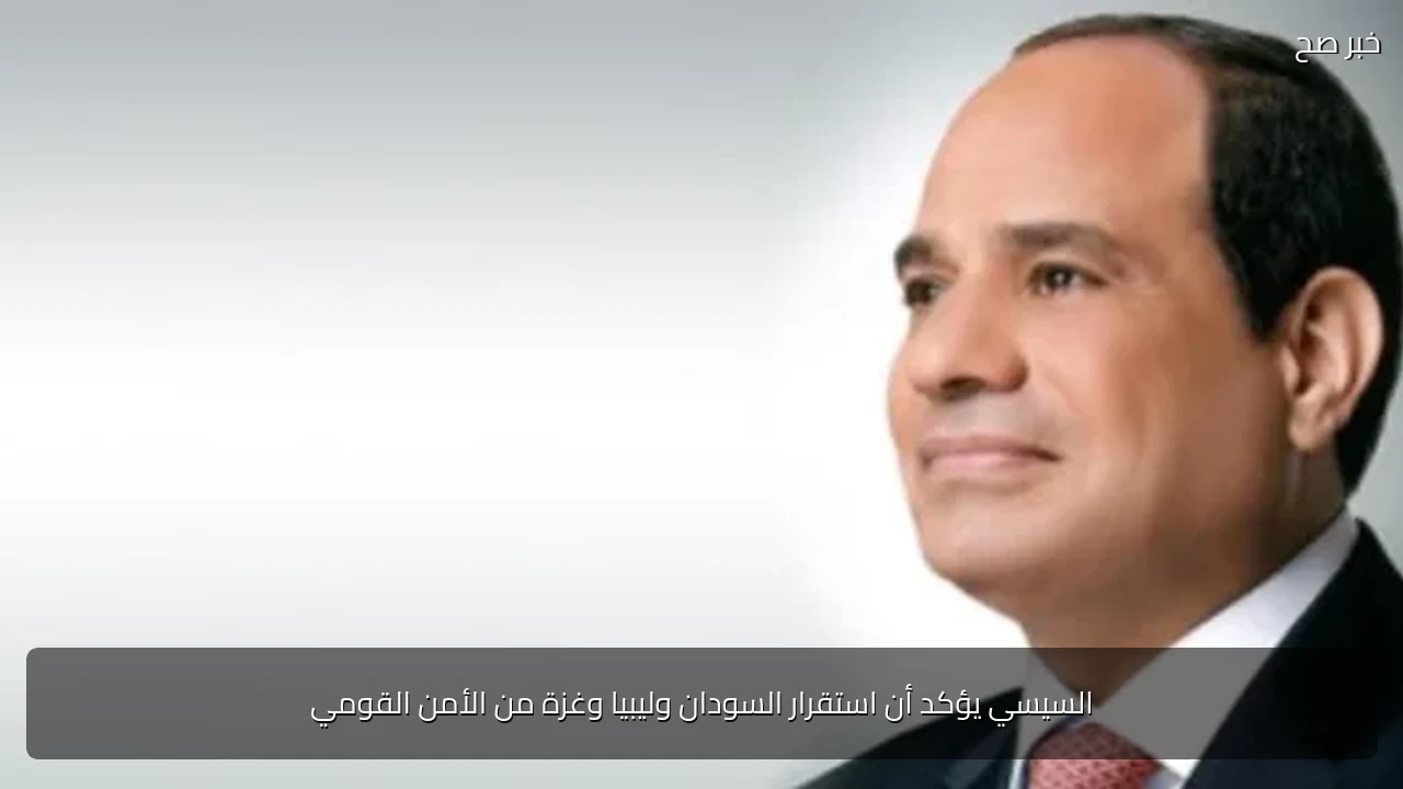 السيسي يؤكد أن استقرار السودان وليبيا وغزة من الأمن القومي