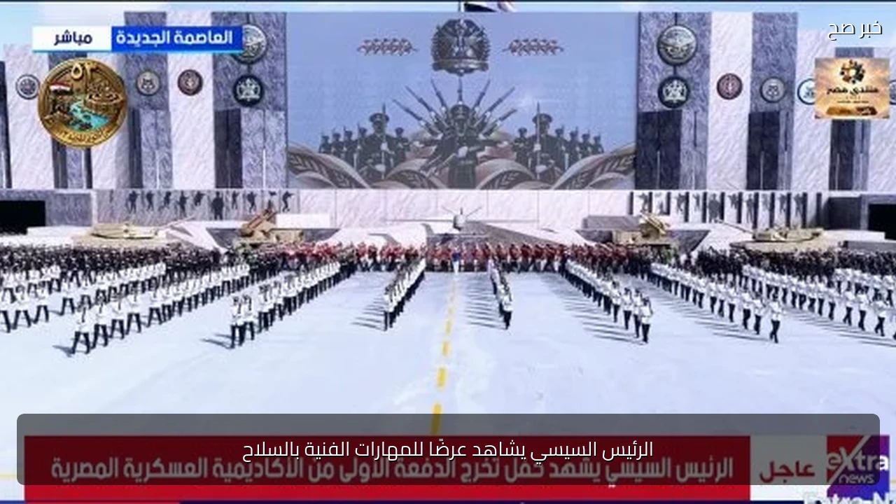 الرئيس السيسي يشاهد عرضًا للمهارات الفنية بالسلاح