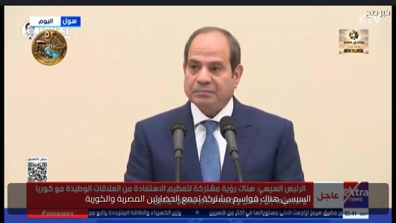 السيسي هناك قواسم مشتركة تجمع الحضارتين المصرية والكورية