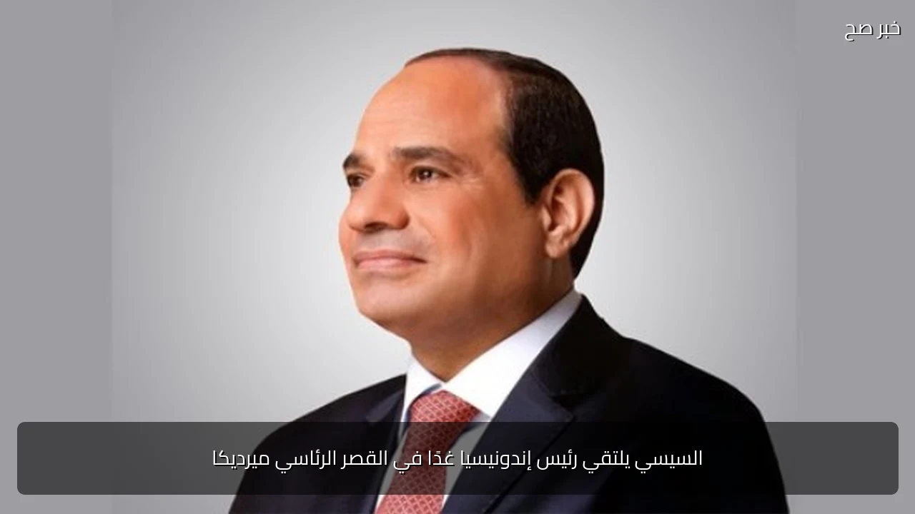 السيسي يلتقي رئيس إندونيسيا غدًا في القصر الرئاسي ميرديكا