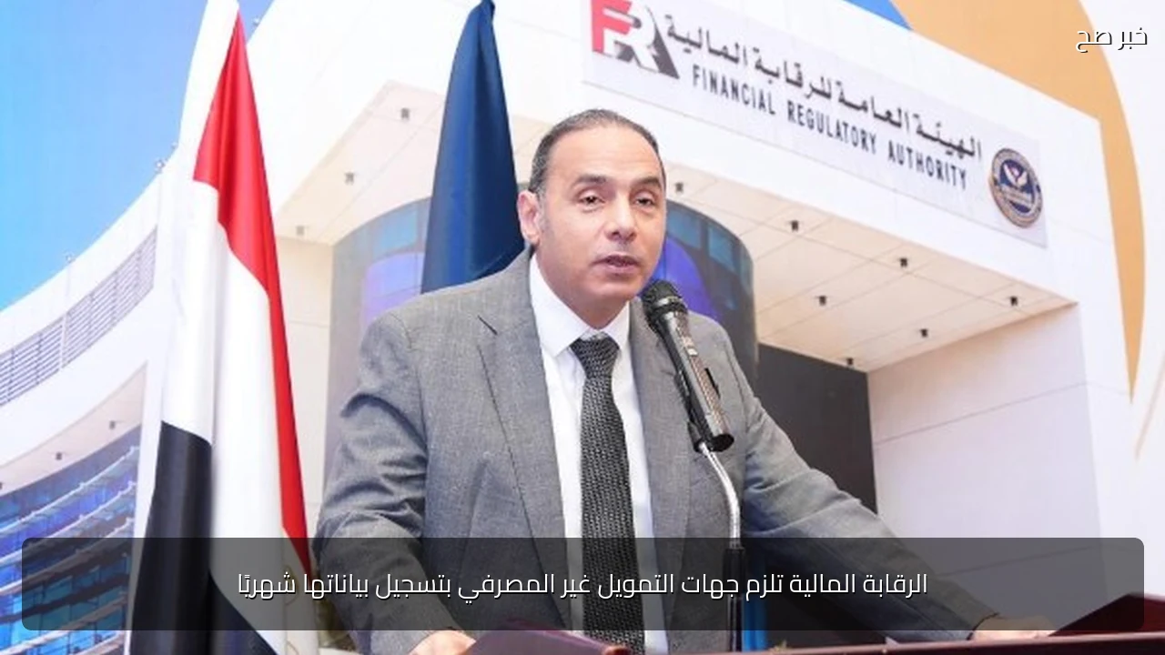 الرقابة المالية تلزم جهات التمويل غير المصرفي بتسجيل بياناتها شهريًا