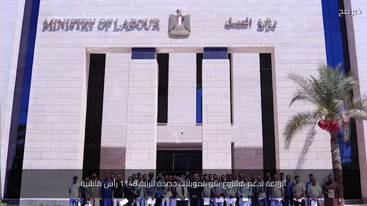 الزراعة تدعم مشروع بتلو بتمويلات جديدة لتربية 1148 رأس ماشية