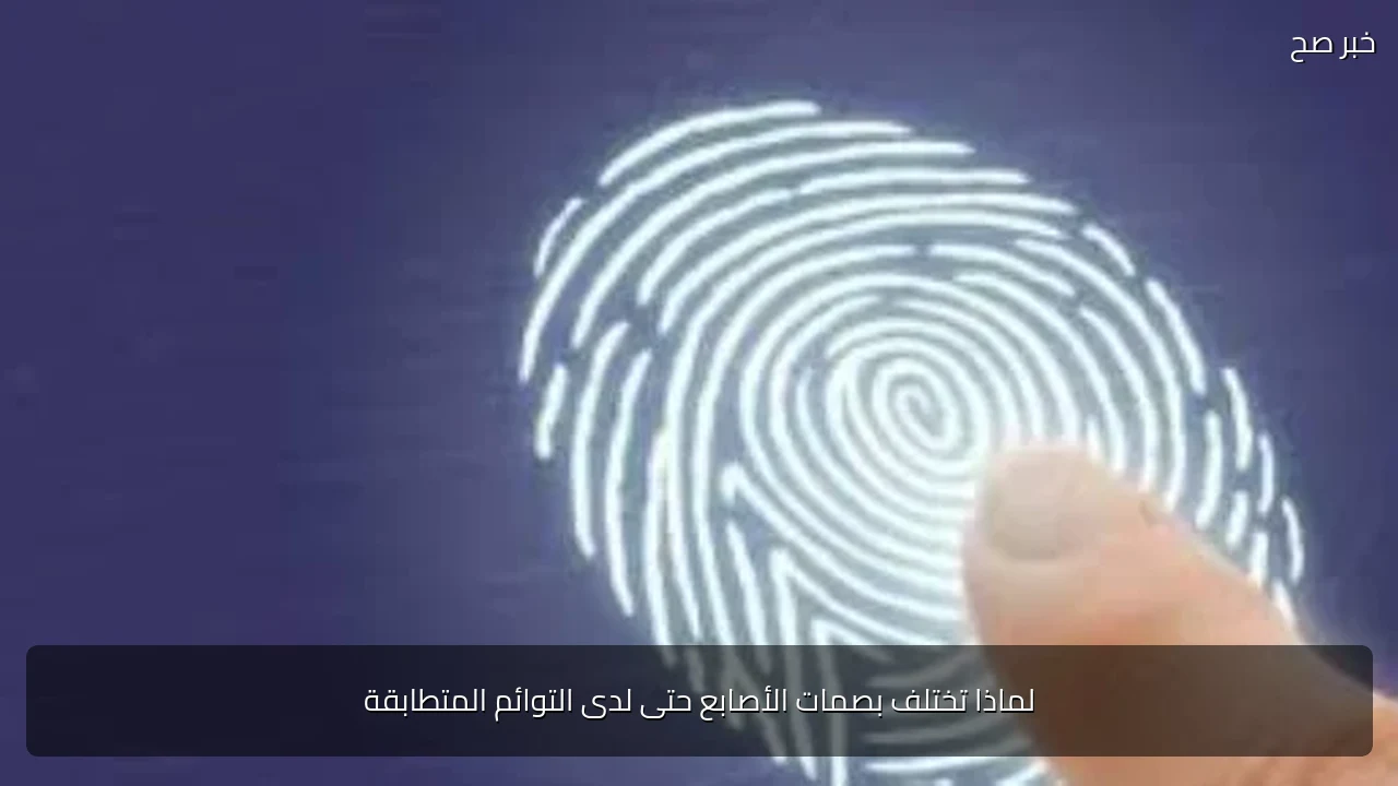 لماذا تختلف بصمات الأصابع حتى لدى التوائم المتطابقة