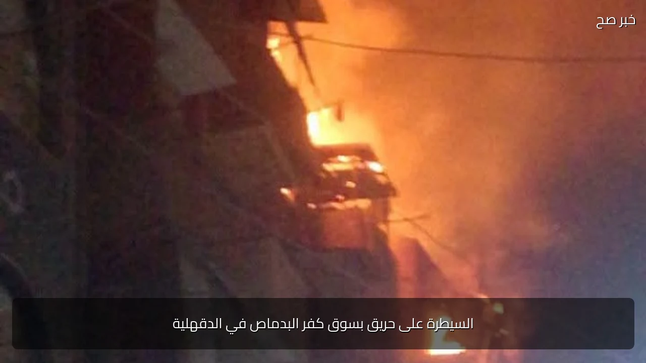 السيطرة على حريق بسوق كفر البدماص في الدقهلية